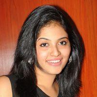 Anjali at Journey Audio Launch Pictures | Picture 127197